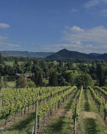 The Umpqua Valley near Roseburg, Oregon