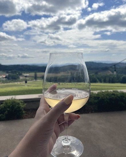 Vines in the Willamette Valley, Oregon